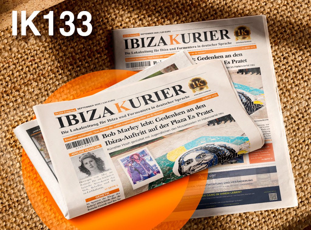 IK133 - SEPT/2025-AUSGABE